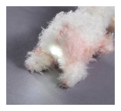 DEL clé lumière peluche lama Flokatina 9cm