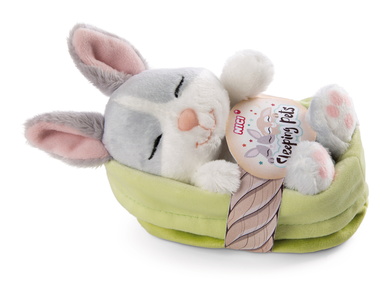 Lapin gris endormi dans petit panier 