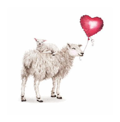 Carte de voeux moutons 