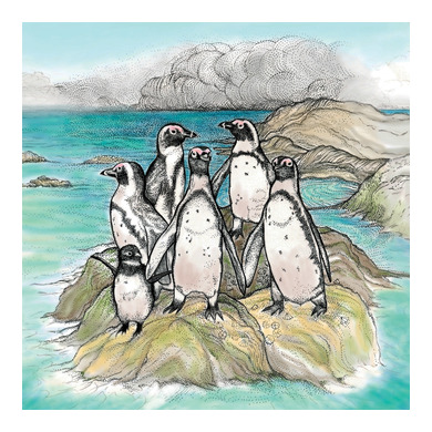 Rock Penguins Greeting Card 