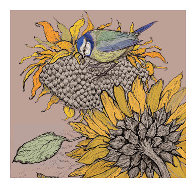 Blue Tit and Sunflower Greeting Card 