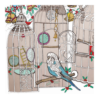 Budgie Greeting Card 