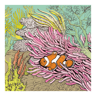 Clown Fish Greeting Card 