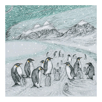 Antarctic Penguins Greeting Card TW178