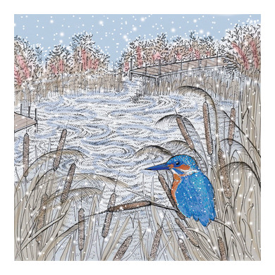 Kingfisher in the Reeds Greeting Card TW182