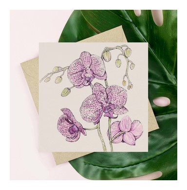 Orchid Greeting Card TW189
