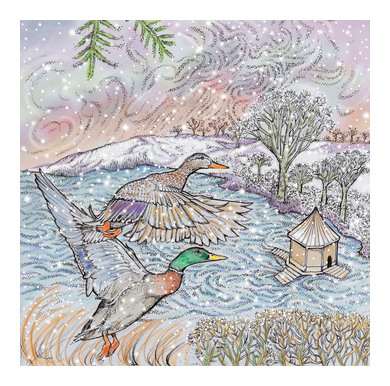 Ducks In Flight Greeting Card TW216