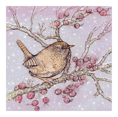 Wren and Berries Greeting Card TW225