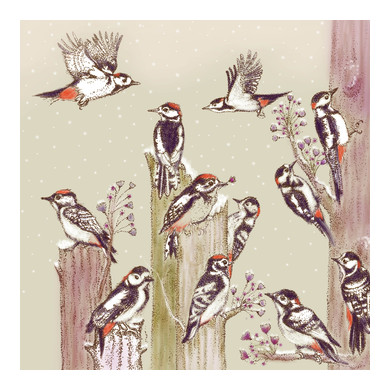Lesser-spotted Woodpeckers Greeting Card BB22