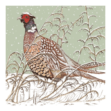 Pheasant Greeting Card TW02