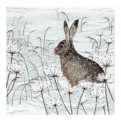 Hare Greeting Card TW04