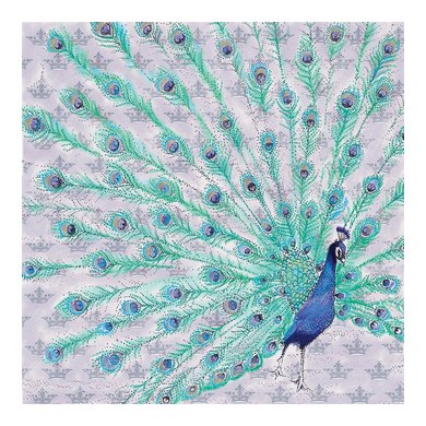 Peacock Greeting Card BB25