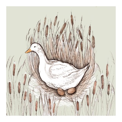 Nesting Duck Greeting Card 