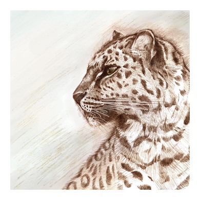 Leopard Greeting Card TW10