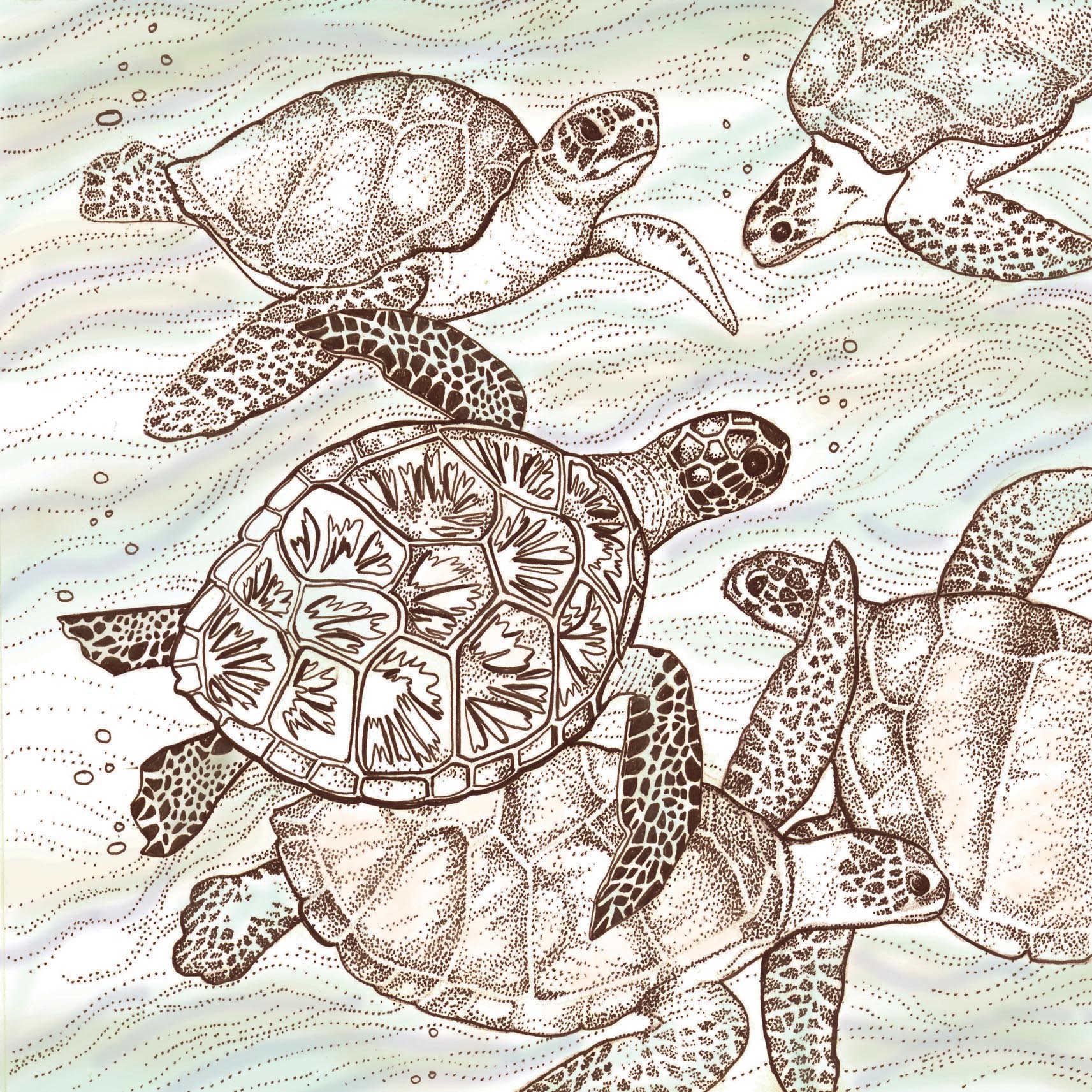 Swimming Turtles Greeting Card TW16