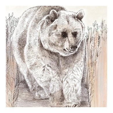 Bear Greeting Card TW17