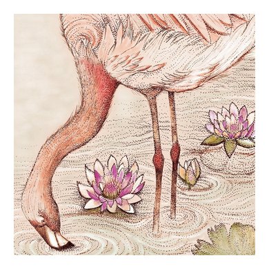 Flamingo Greeting Card TW18