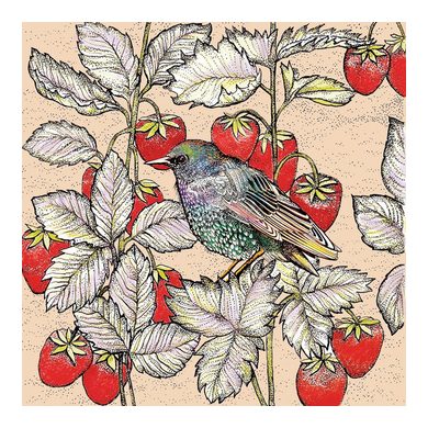 STARLING AND STRAWBERRIES Greeting Card 