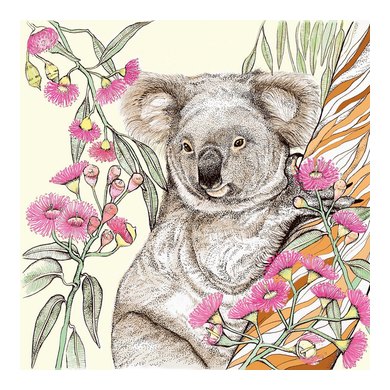 Koala Greeting Card TW46
