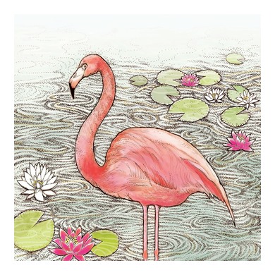Flamingo and Lily Pads Greeting Card 