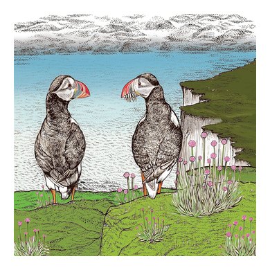Puffins Greeting Card 