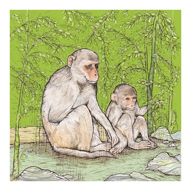 Monkeys Greeting Card 