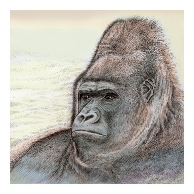 Gorilla Greeting Card 