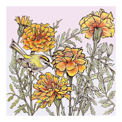 Firecrest and Marigolds Greeting Card TW58