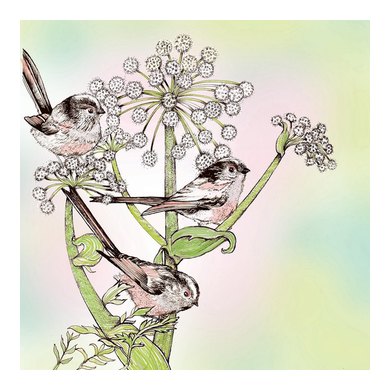 Long-tailed Tits and Angelica Greeting Card TW59