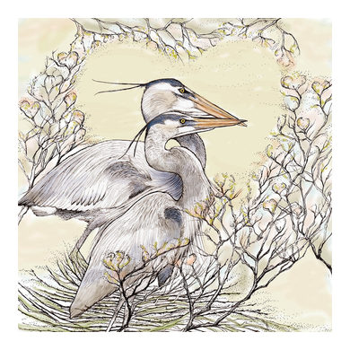 Herons in Nest Greeting Card TW66