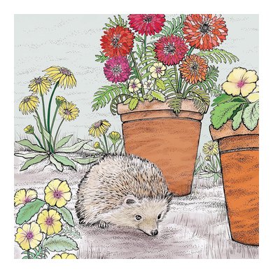 Hedgehog Greeting Card 