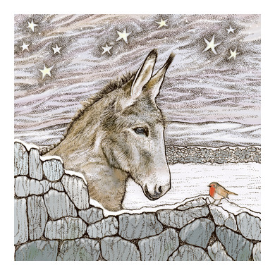 Donkey and Robin Greeting Card TW76