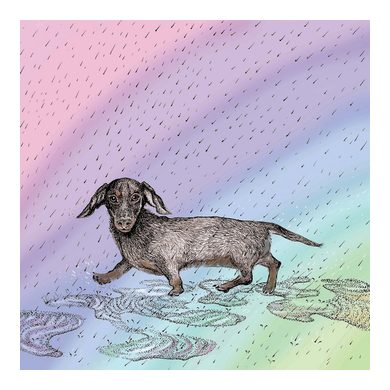 Dachshund in Puddles Greeting Card 