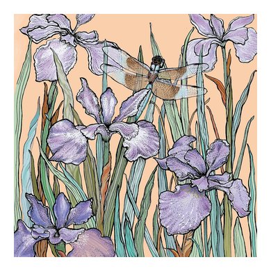 Dragonfly and Bearded Iris Greeting Card TW82
