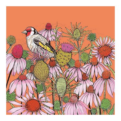 Goldfinch and Coneflowers Greeting Card TW83