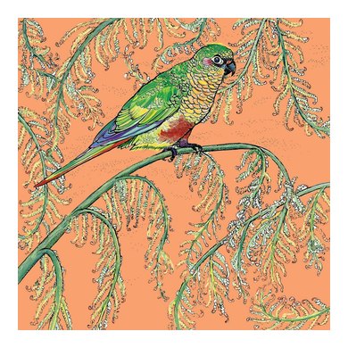 Parakeet Greeting Card 