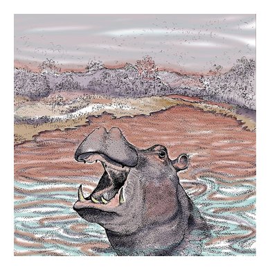 Hippopotamus Greeting Card 