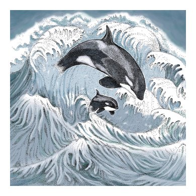 Orcas Greeting Card 