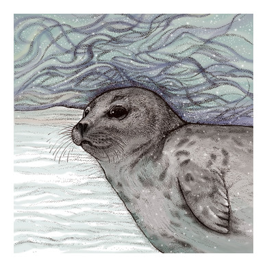 Seal Pup Greeting Card TW93