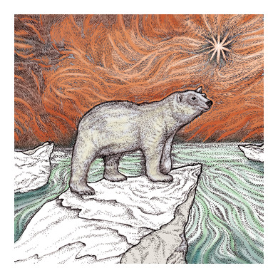 Polar Bear Greeting Card TW95