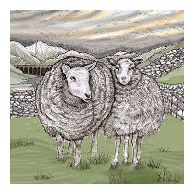 Sheep Greeting Card TW97