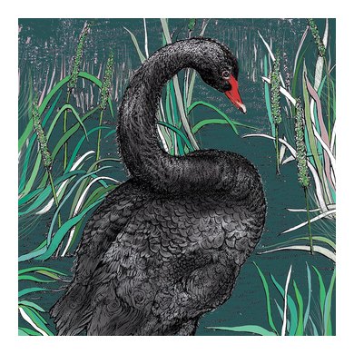 Black Swan Greeting Card TW102