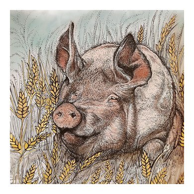 Pig and Wheat Greeting Card 