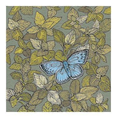 Large Blue Butterfly Greeting Card TW113