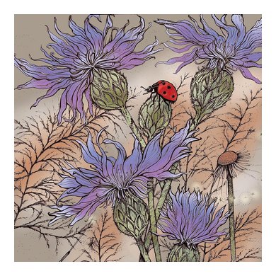 Ladybird and Cornflowers Greeting Card 