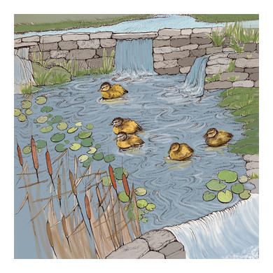 Ducklings on a Pond Greeting Card 