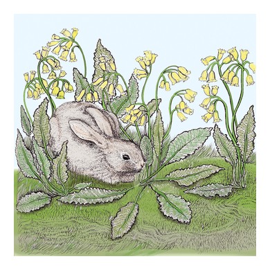 Rabbit and Cowslips Greeting Card TW150