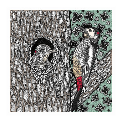 Woodpeckers Greeting Card 