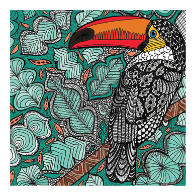 Toucan Greeting Card 