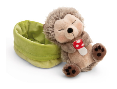 Hérisson endormi avec tue-mouche dans petit panier vert clair